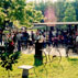 Enjoy our bayou-side pavilion