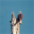 Splendor in Cypress Flats